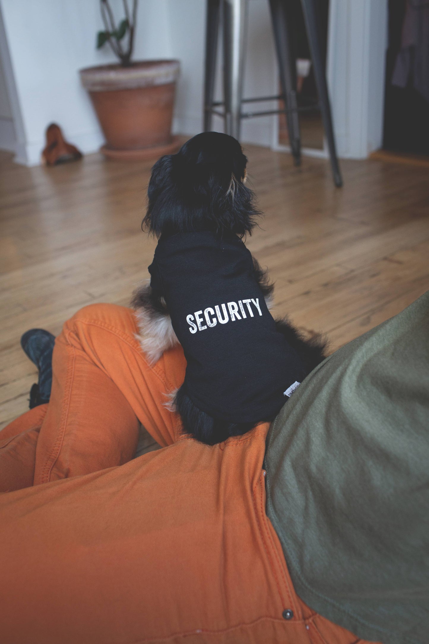 "Security" Pet Tee: S