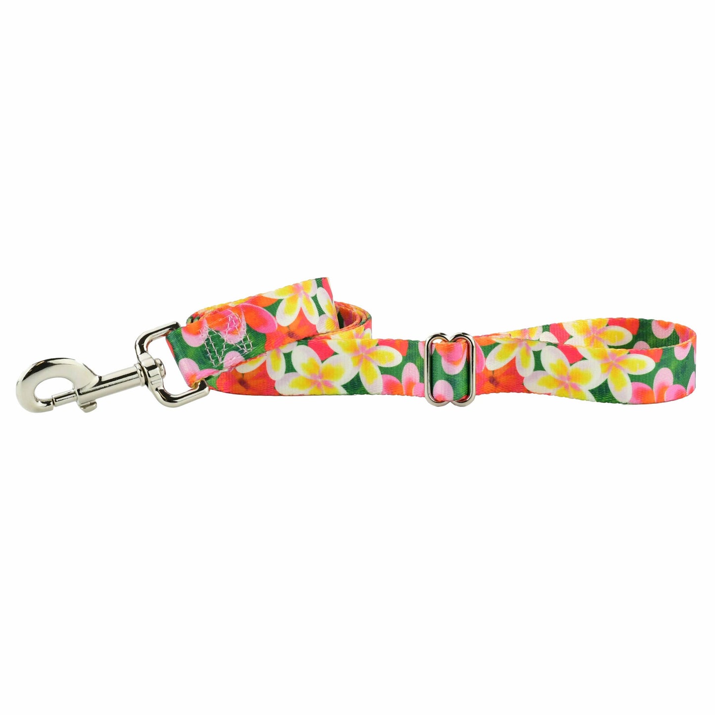 1.5″ EarthStyle Aloha Dog Collar: Large (16 - 20 inches) / Side Release Dog Collar / 6' Leash