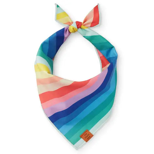 The Foggy Dog Over the Rainbow Dog Bandana