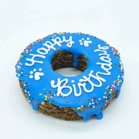 Furry Belly Donut Birthday Chewy Oat Cake - Turquoise