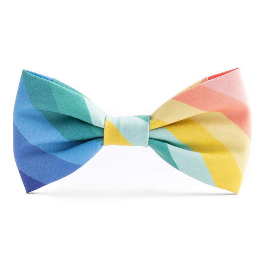 Over the Rainbow Dog Bow Tie: Standard