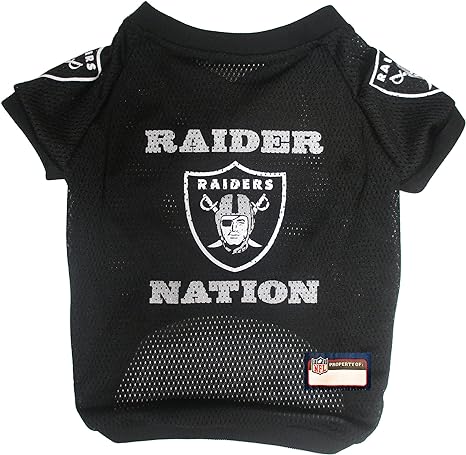Raiders Raglan Dog Jersey (Size: S)