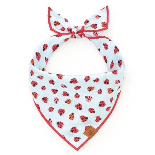 Love Bug Spring Dog Bandana: Large