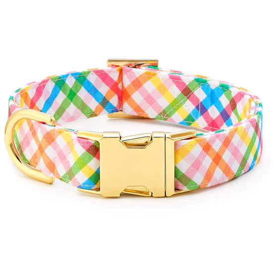 The Foggy Dog - Dog Collar Rainbow Gingham Summer