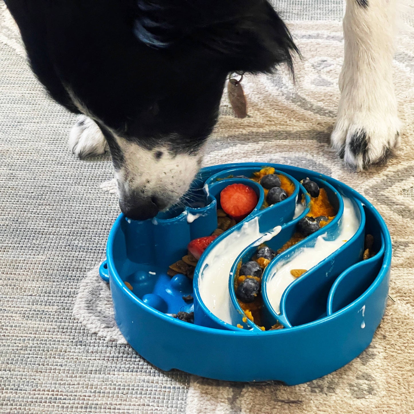 Wave Design eBowl Enrichment Slow Feeder Bowl for Dogs
