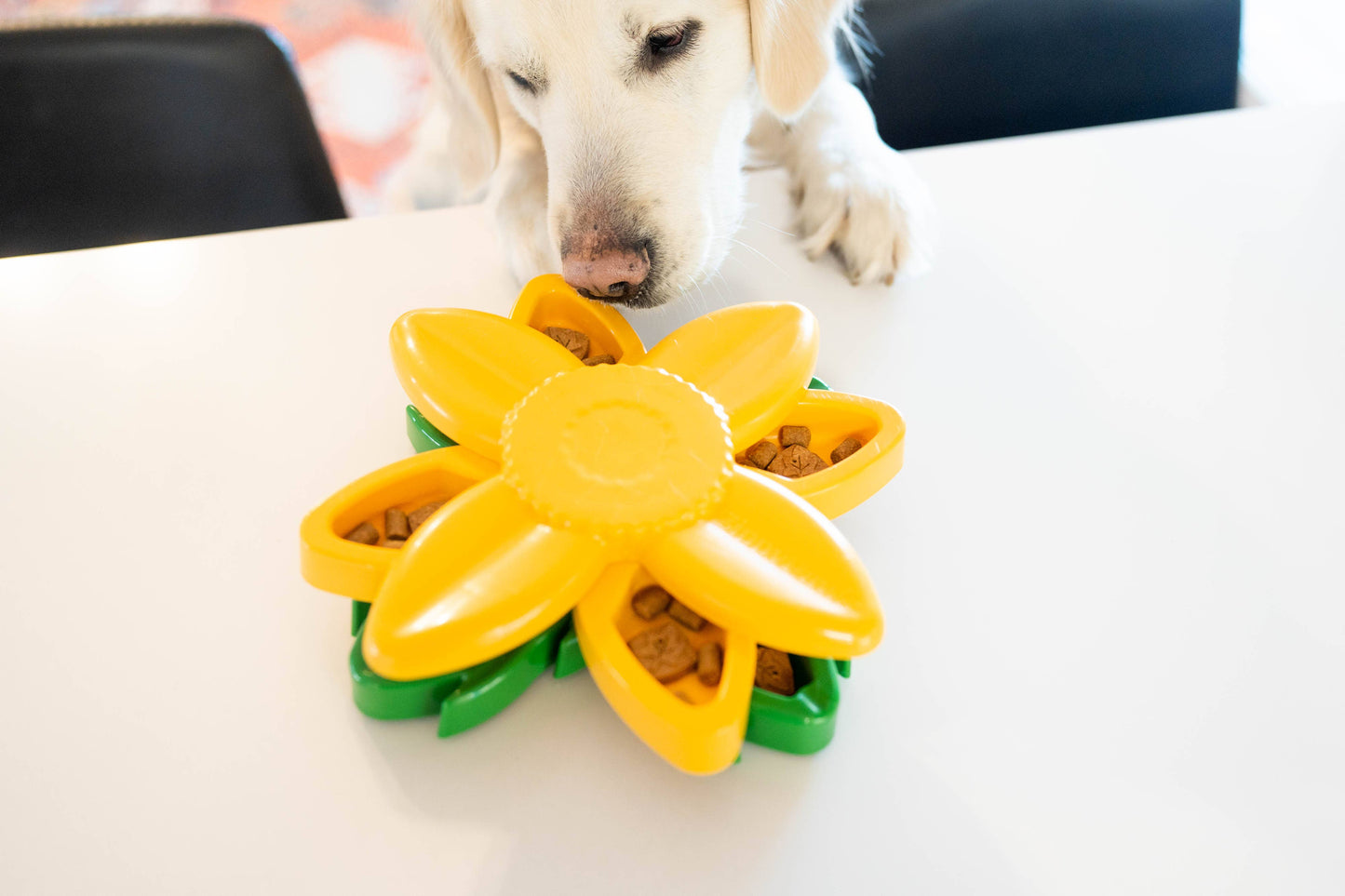 SmartyPaws Puzzler - Sunflower