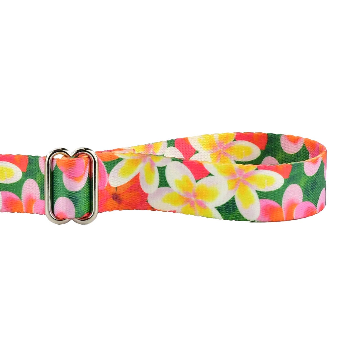 1.5″ EarthStyle Aloha Dog Collar: Large (16 - 20 inches) / Side Release Dog Collar / 6' Leash