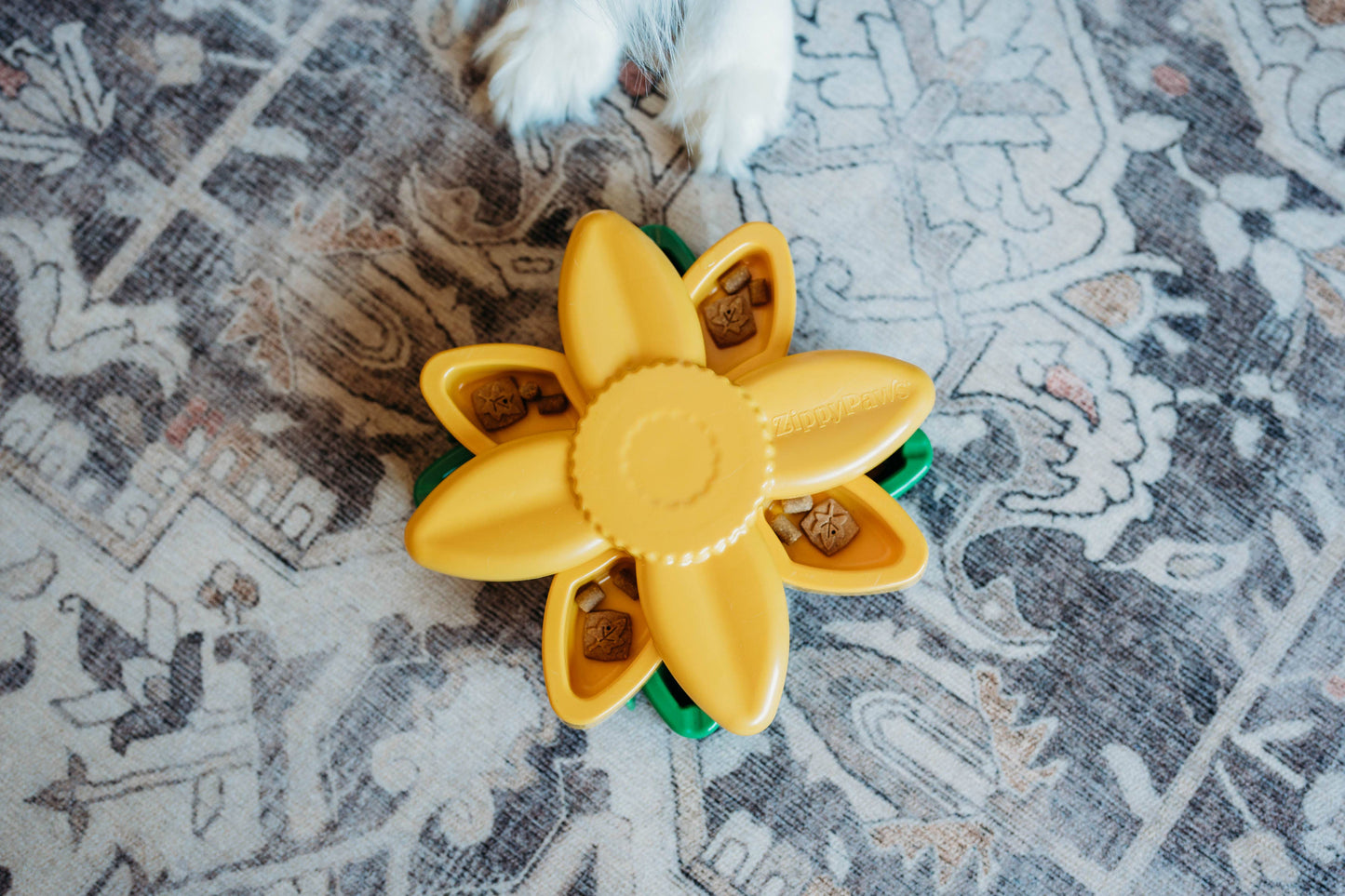 SmartyPaws Puzzler - Sunflower