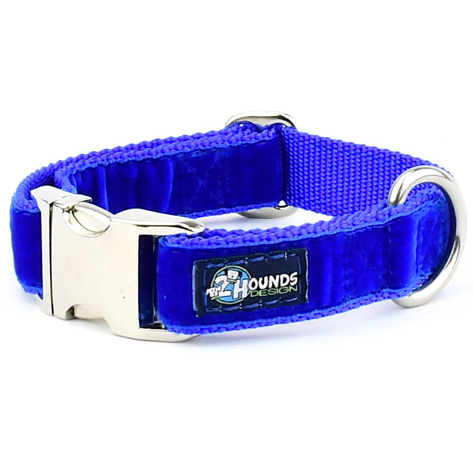 Royal Blue Swiss Velvet Essential Dog Collar: Martingale Collar / No thanks. / X Large (20 - 26 inches)